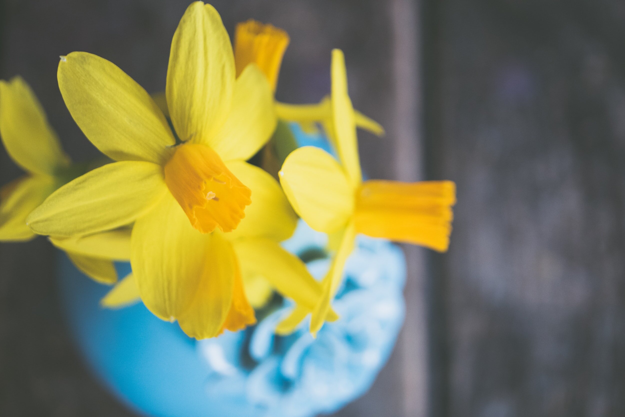 Refresh by Text challenge for 8 March: Give an ethical/eco gift this Mothering Sunday